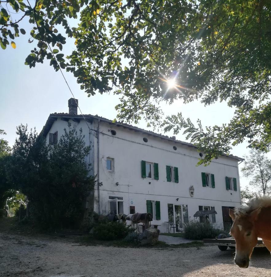 Monte Termine Country House Rioveggio Exterior photo